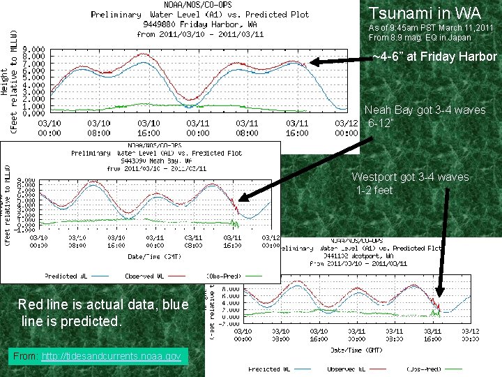Tsunami in WA As of 9: 45 am PST March 11, 2011 From 8.