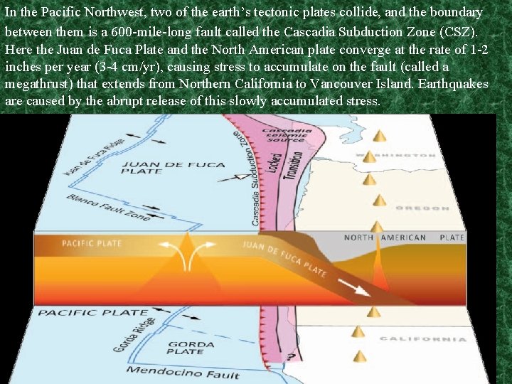 In the Pacific Northwest, two of the earth’s tectonic plates collide, and the boundary