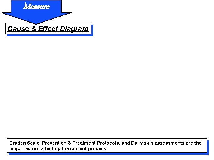 Measure Cause & Effect Diagram Braden Scale, Prevention & Treatment Protocols, and Daily skin