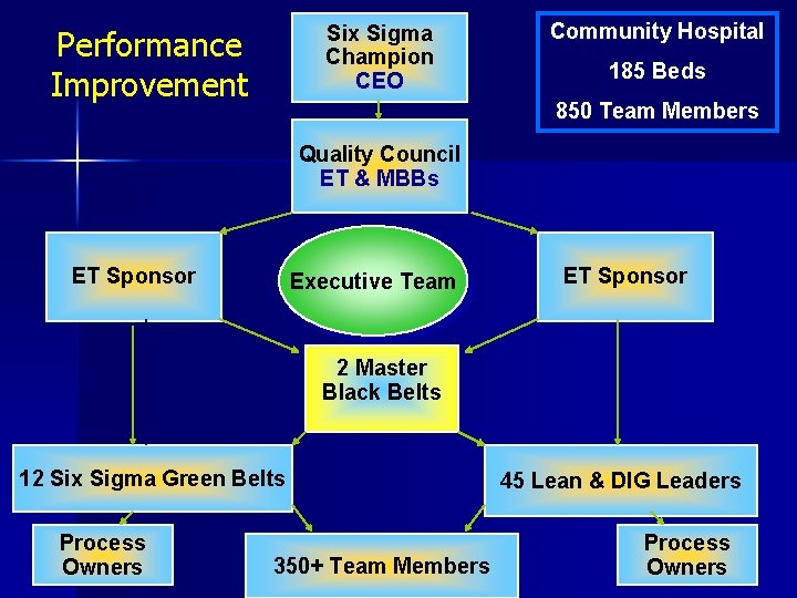 Six Sigma Champion CEO Performance Improvement Community Hospital 185 Beds 850 Team Members Quality