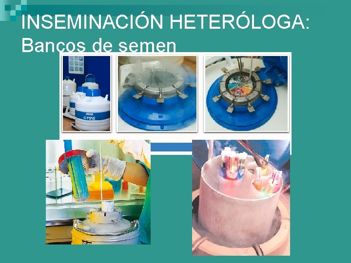 INSEMINACIÓN HETERÓLOGA: Bancos de semen 