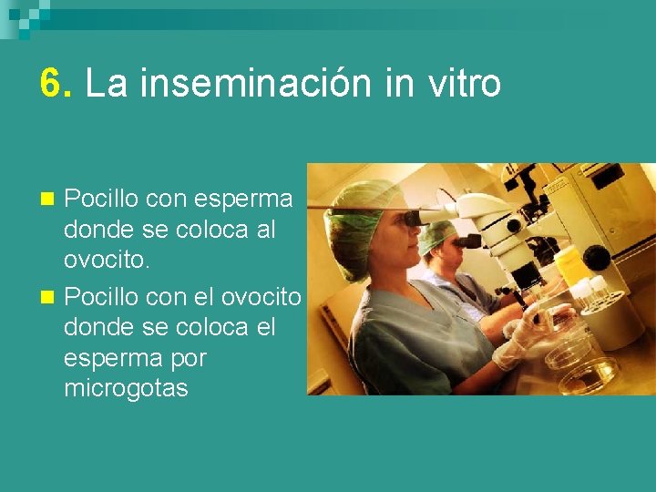 6. La inseminación in vitro n Pocillo con esperma donde se coloca al ovocito.