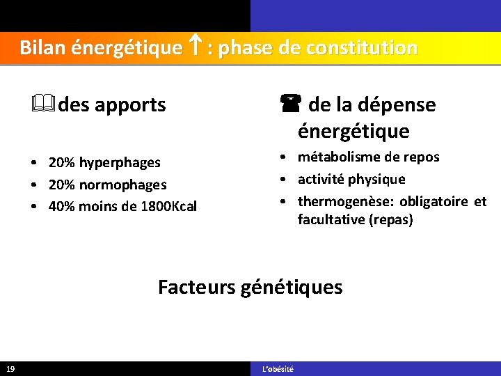 Bilan énergétique : phase de constitution des apports de la dépense énergétique • 20%