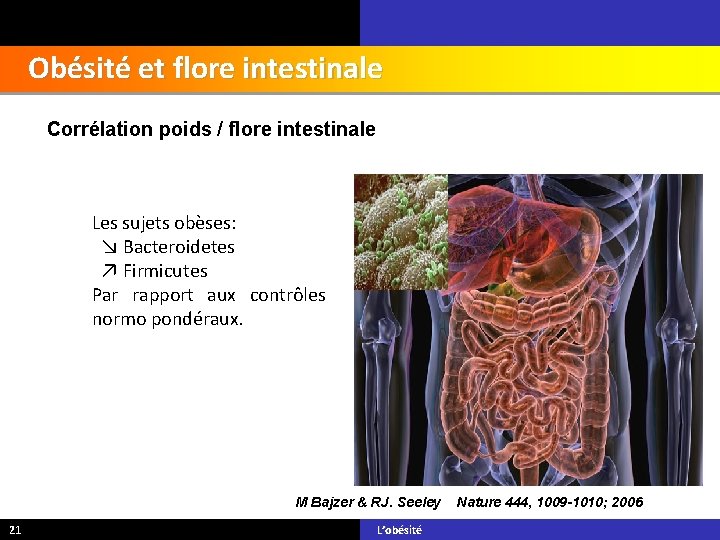 Obésité et flore intestinale Corrélation poids / flore intestinale Les sujets obèses: ↘ Bacteroidetes