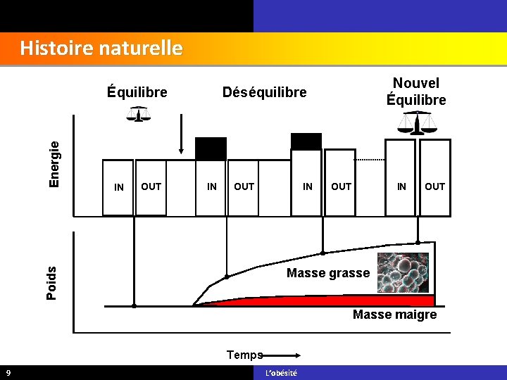 Histoire naturelle IN OUT Nouvel Équilibre Déséquilibre IN OUT Poids Energie Équilibre IN OUT