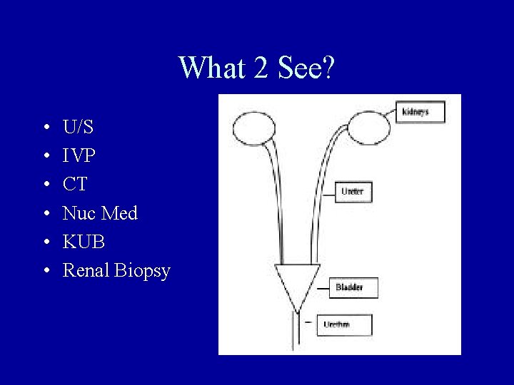 What 2 See? • • • U/S IVP CT Nuc Med KUB Renal Biopsy