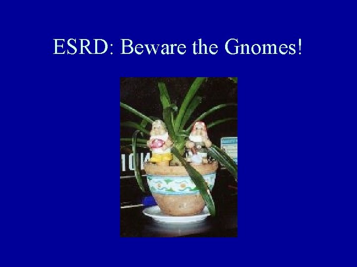 ESRD: Beware the Gnomes! 