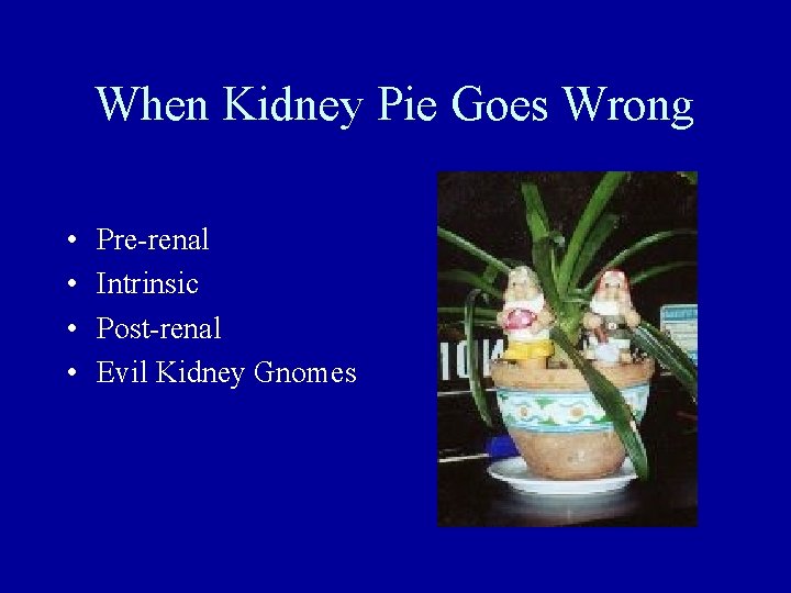When Kidney Pie Goes Wrong • • Pre-renal Intrinsic Post-renal Evil Kidney Gnomes 