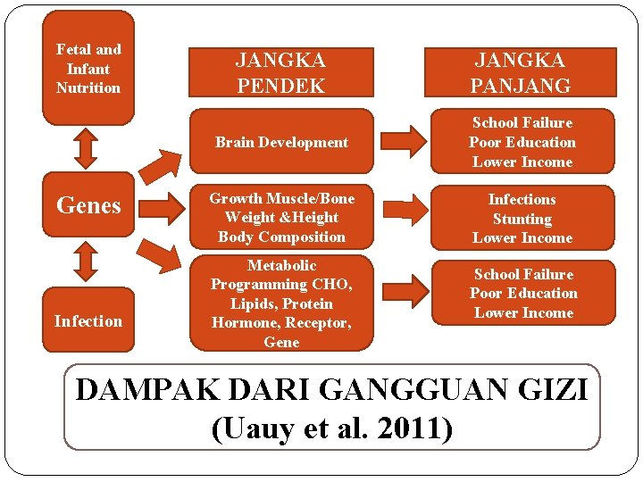 Fetal and Infant Nutrition Genes Infection JANGKA PENDEK JANGKA PANJANG Brain Development School Failure