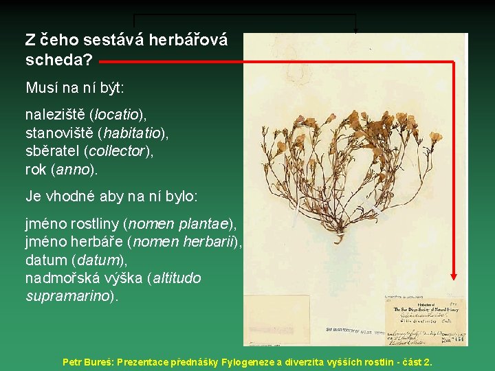 Z čeho sestává herbářová scheda? Musí na ní být: naleziště (locatio), stanoviště (habitatio), sběratel
