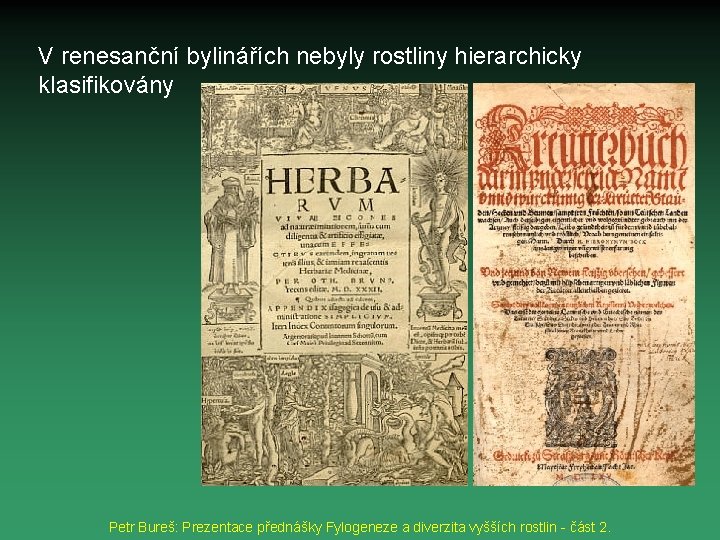 V renesanční bylinářích nebyly rostliny hierarchicky klasifikovány Petr Bureš: Prezentace přednášky Fylogeneze a diverzita