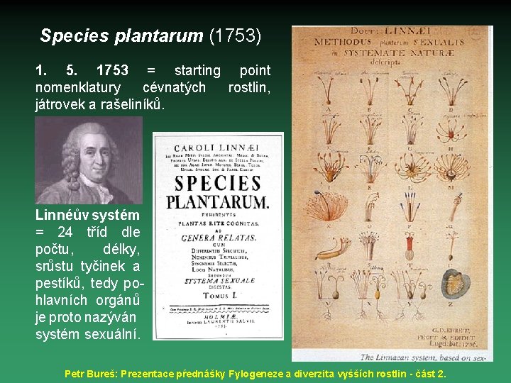 Species plantarum (1753) 1. 5. 1753 = starting point nomenklatury cévnatých rostlin, játrovek a