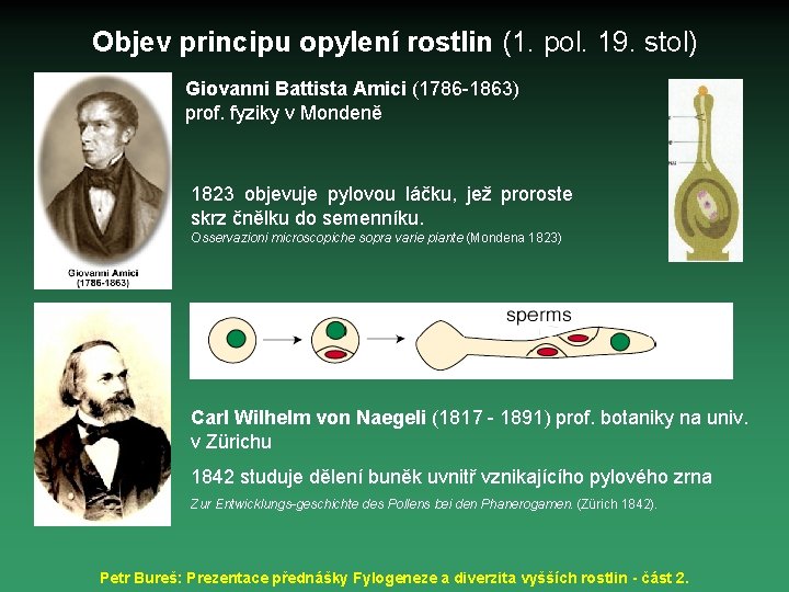 Objev principu opylení rostlin (1. pol. 19. stol) Giovanni Battista Amici (1786 -1863) prof.