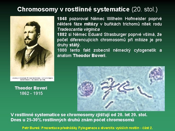 Chromosomy v rostlinné systematice (20. stol. ) 1848 pozoroval Němec Wilhelm Hofmeister poprvé některé