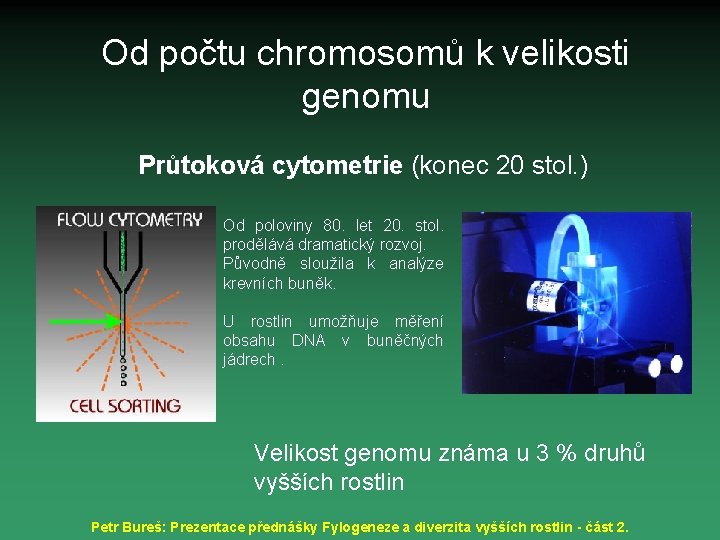 Od počtu chromosomů k velikosti genomu Průtoková cytometrie (konec 20 stol. ) Od poloviny