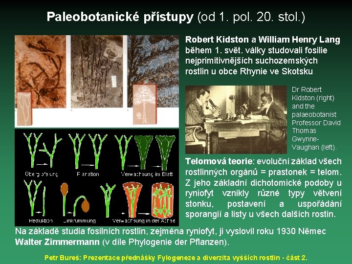 Paleobotanické přístupy (od 1. pol. 20. stol. ) Robert Kidston a William Henry Lang