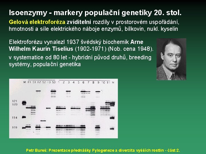 Isoenzymy - markery populační genetiky 20. stol. Gelová elektroforéza zviditelní rozdíly v prostorovém uspořádání,