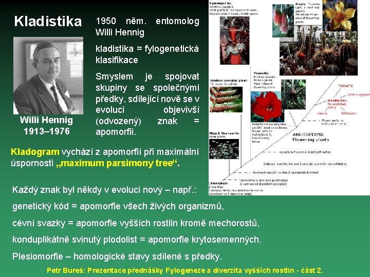 Kladistika 1950 něm. Willi Hennig entomolog kladistika = fylogenetická klasifikace Willi Hennig 1913– 1976