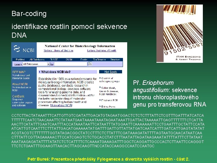 Bar-coding identifikace rostlin pomocí sekvence DNA Př. Eriophorum angustifolium: sekvence intronu chloroplastového genu pro