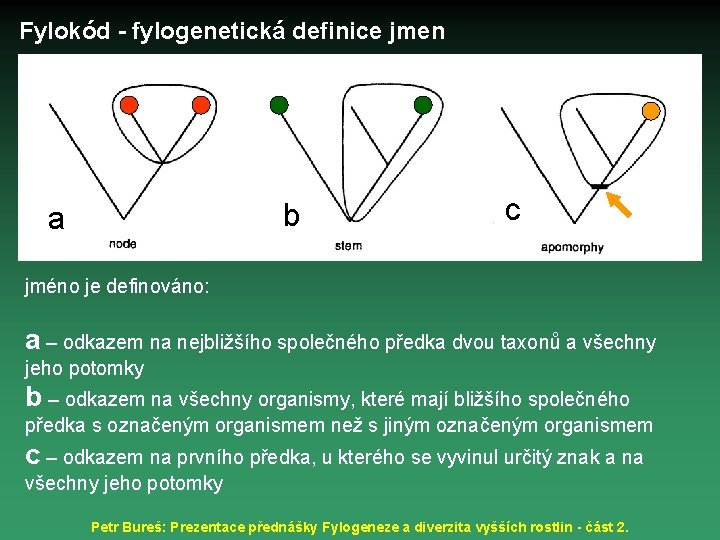 Fylokód - fylogenetická definice jmen b a c jméno je definováno: a – odkazem