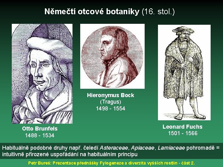 Němečtí otcové botaniky (16. stol. ) Hieronymus Bock (Tragus) 1498 - 1554 Otto Brunfels