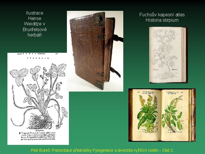 Ilustrace Hanse Weiditze v Brunfelsově herbáři Fuchsův kapesní atlas Historia stirpium Petr Bureš: Prezentace