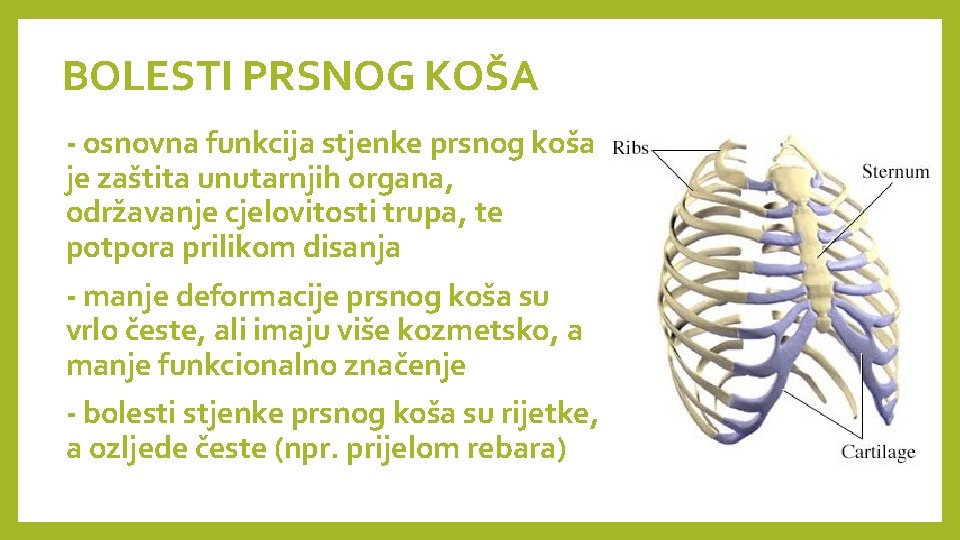 BOLESTI PRSNOG KOŠA - osnovna funkcija stjenke prsnog koša je zaštita unutarnjih organa, održavanje