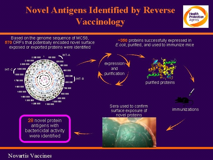 Novel Antigens Identified by Reverse Vaccinology Based on the genome sequence of MC 58,