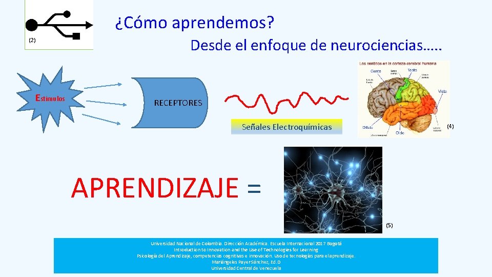 ¿Cómo aprendemos? (2) Estímulos Desde el enfoque de neurociencias…. . RECEPTORES Señales Electroquímicas (4)