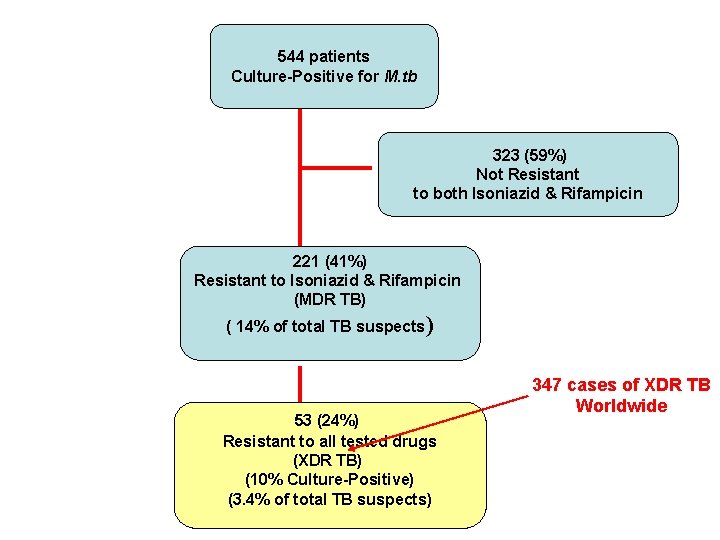 544 patients Culture-Positive for M. tb 323 (59%) Not Resistant to both Isoniazid &