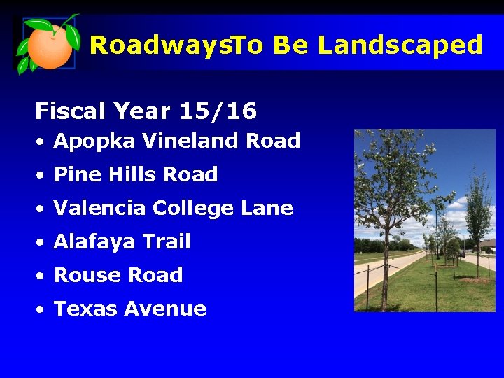 Roadways. To Be Landscaped Fiscal Year 15/16 • Apopka Vineland Road • Pine Hills