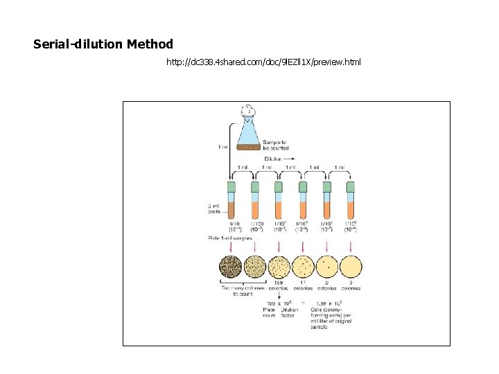 Serial-dilution Method http: //dc 338. 4 shared. com/doc/9 l. EZll 1 X/preview. html 