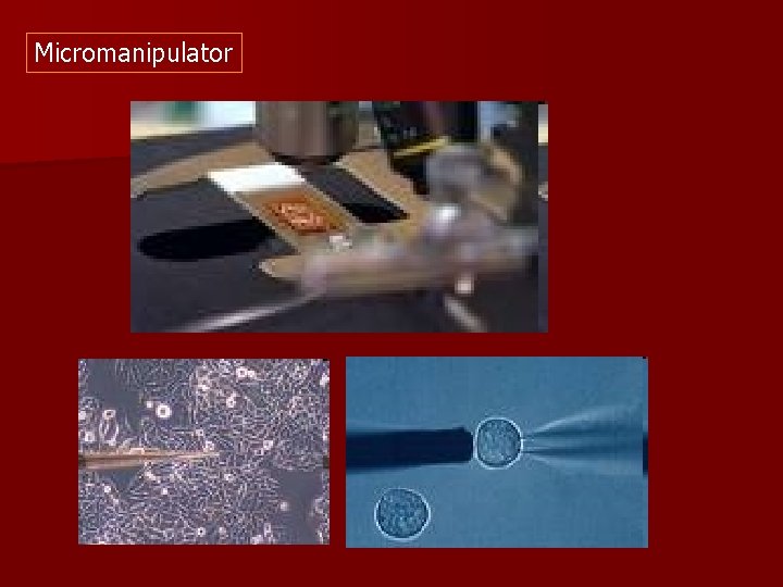 Micromanipulator 