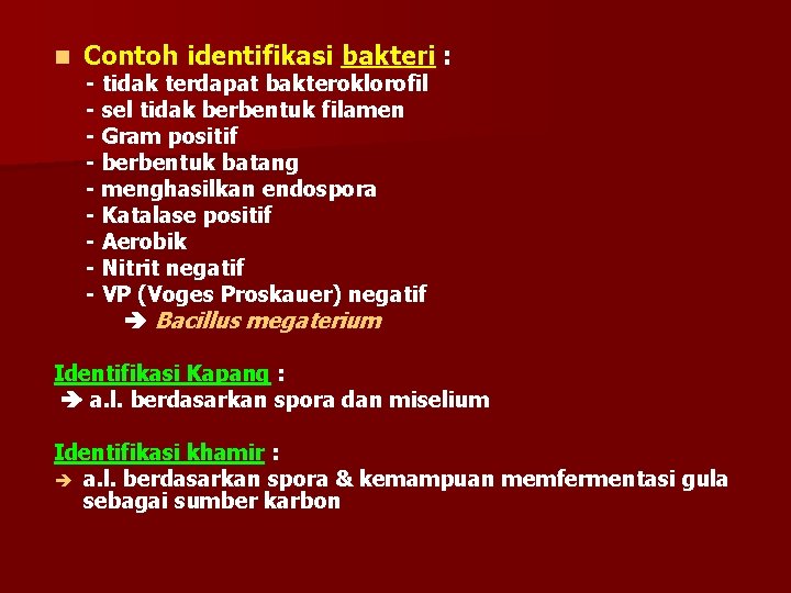 n Contoh identifikasi bakteri : - tidak terdapat bakteroklorofil - sel tidak berbentuk filamen