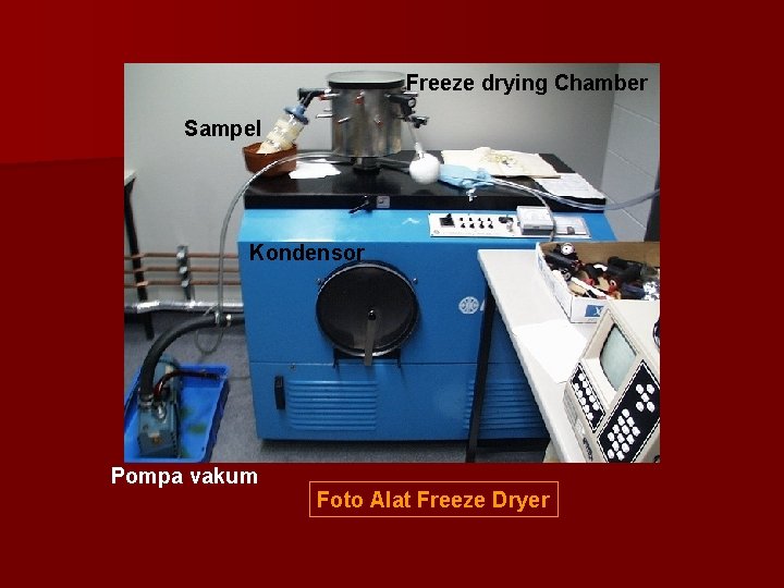 Freeze drying Chamber Sampel Kondensor Pompa vakum Foto Alat Freeze Dryer 