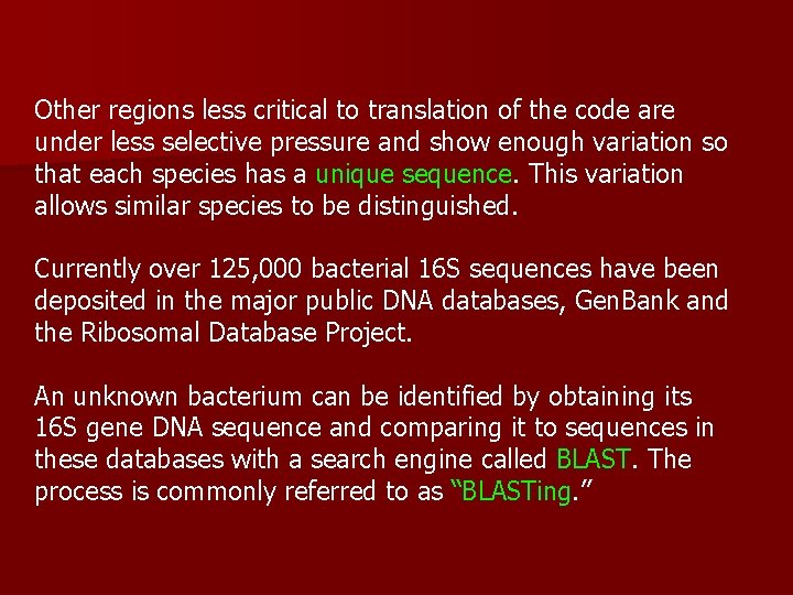 Other regions less critical to translation of the code are under less selective pressure