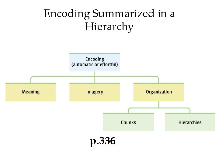 Encoding Summarized in a Hierarchy p. 336 