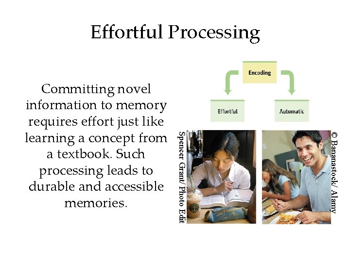 Effortful Processing © Bananastock/ Alamy Spencer Grant/ Photo Edit Committing novel information to memory