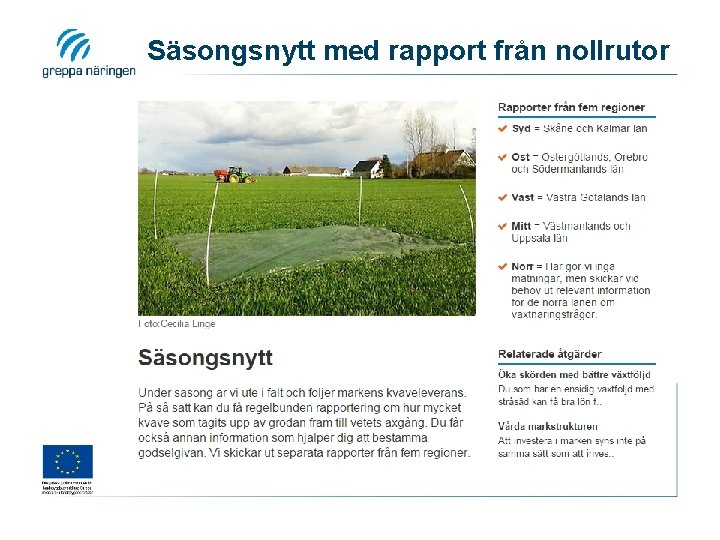 Säsongsnytt med rapport från nollrutor 