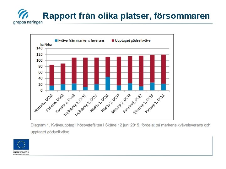 Rapport från olika platser, försommaren 