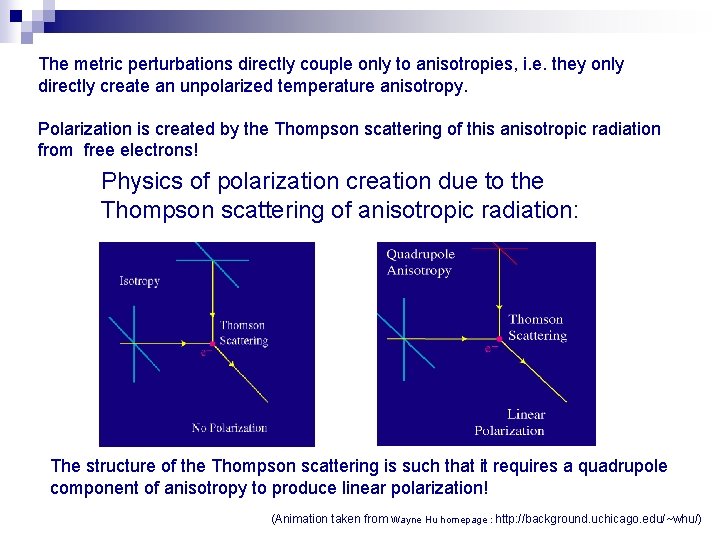 The metric perturbations directly couple only to anisotropies, i. e. they only directly create