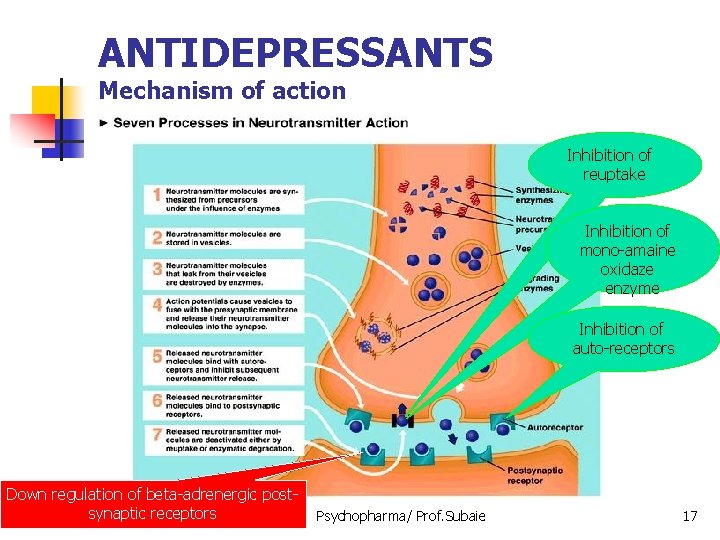 ANTIDEPRESSANTS Mechanism of action Inhibition of reuptake Inhibition of mono-amaine oxidaze enzyme Inhibition of