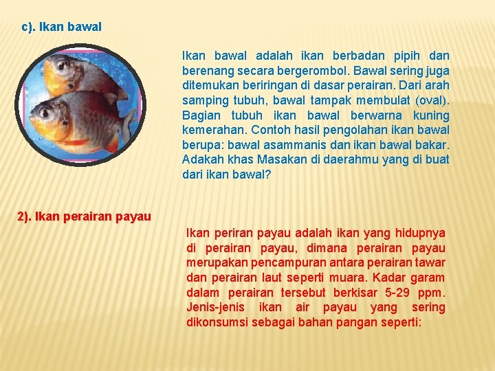 c). Ikan bawal adalah ikan berbadan pipih dan berenang secara bergerombol. Bawal sering juga