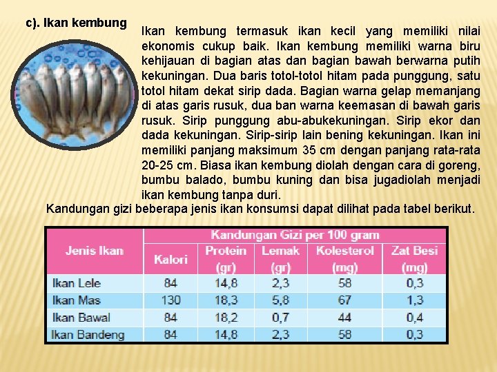 c). Ikan kembung termasuk ikan kecil yang memiliki nilai ekonomis cukup baik. Ikan kembung