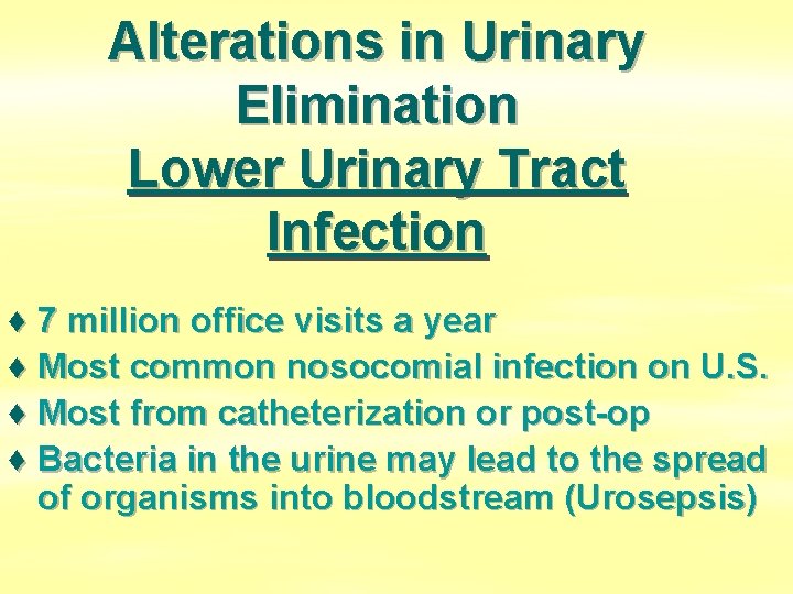 Alterations in Urinary Elimination Lower Urinary Tract Infection ♦ 7 million office visits a