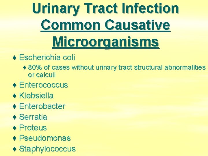 Urinary Tract Infection Common Causative Microorganisms ♦ Escherichia coli ♦ 80% of cases without