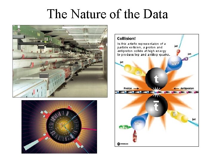 The Nature of the Data 