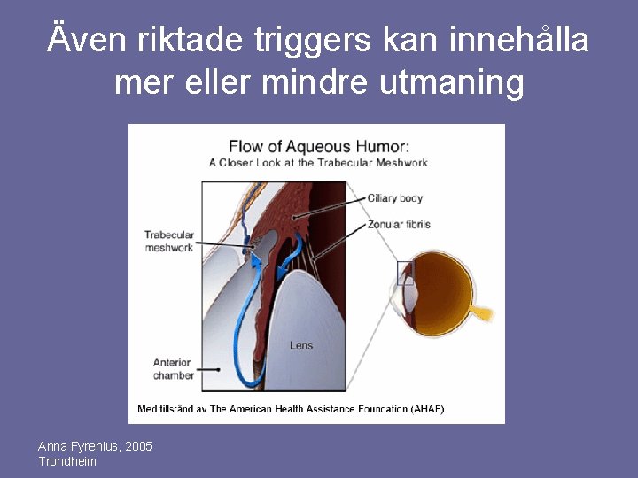 Även riktade triggers kan innehålla mer eller mindre utmaning Anna Fyrenius, 2005 Trondheim 