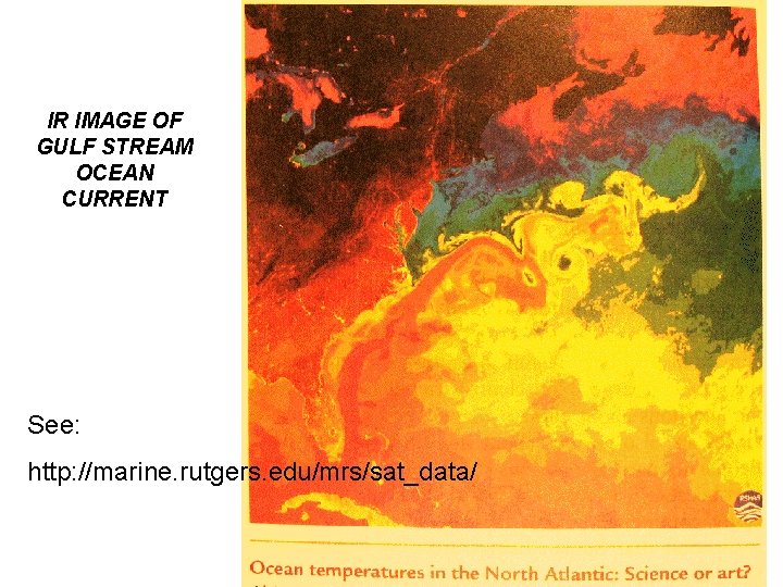 IR IMAGE OF GULF STREAM OCEAN CURRENT See: http: //marine. rutgers. edu/mrs/sat_data/ 