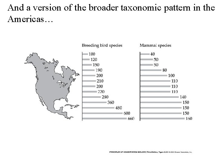 And a version of the broader taxonomic pattern in the Americas… 